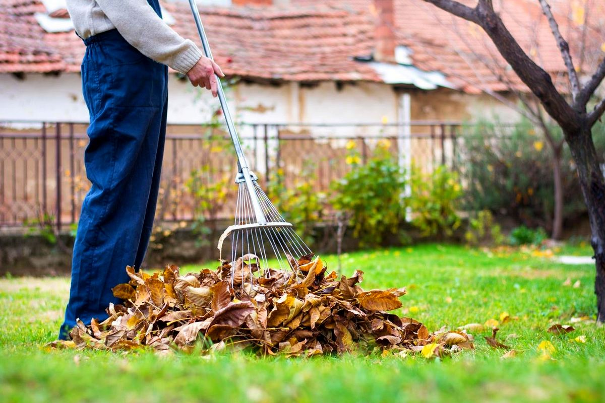 Backyard and Lawn Cleanup in Carson City, NV