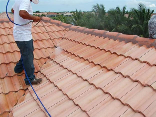 Roof Cleaning Services a Gardnerville, NV