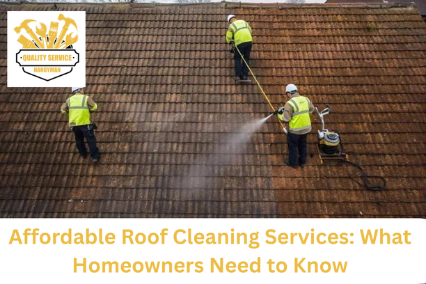 Roof Cleaning Services: