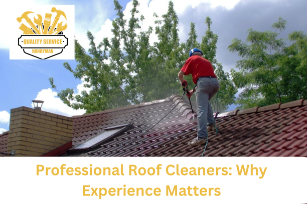 Roof Cleaners