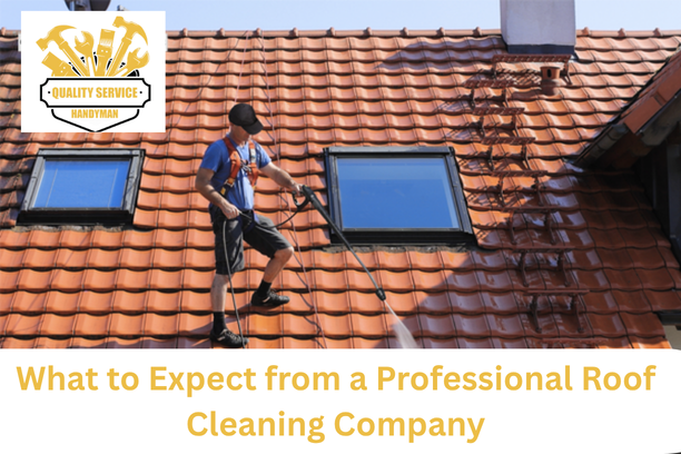 Professional Roof Cleaning Company