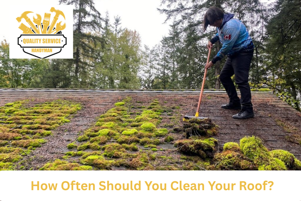 Roof clean