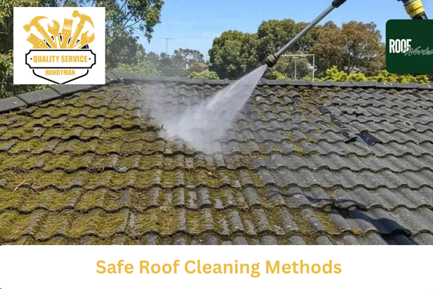Roof Cleaning