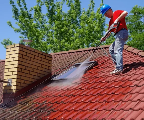 Roof Cleaning Services in Carson City, NV